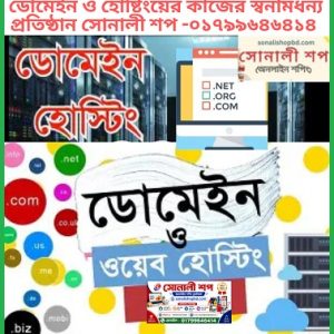 ডোমেইনও হোষ্টিং